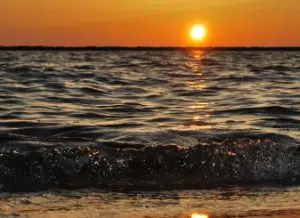 uitvaartkist kopen zwart